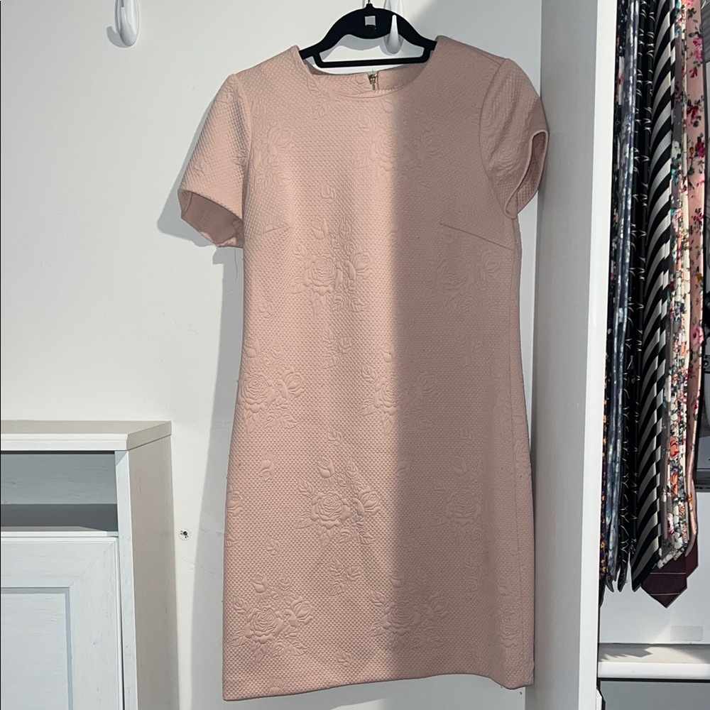 Calvin Klein Blush Textured Mini Dress